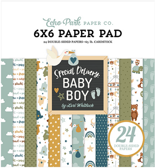 Echo Park 6x6 Special Delivery Baby Boy Paper Pad {B09}