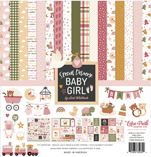 Echo Park 12x12 Special Delivery Baby Girl Collection Kit {C303}