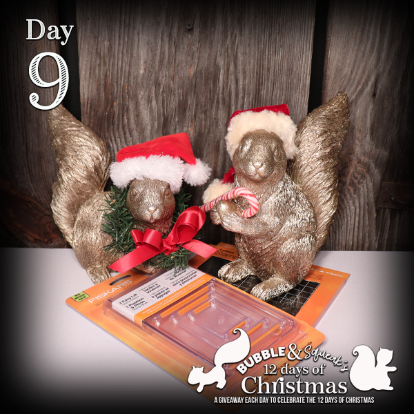 12 days of Bubble and Squeak Giveaways- Day 9