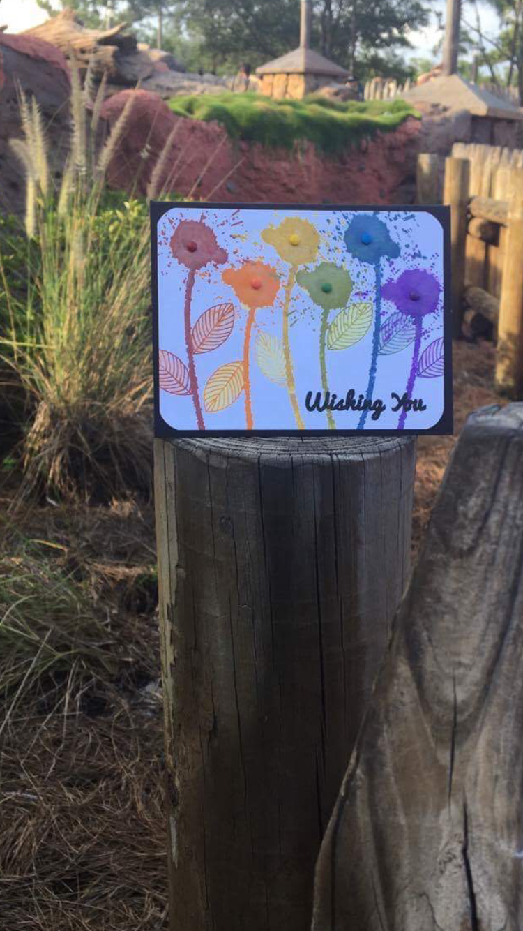 Rainbow Blooms