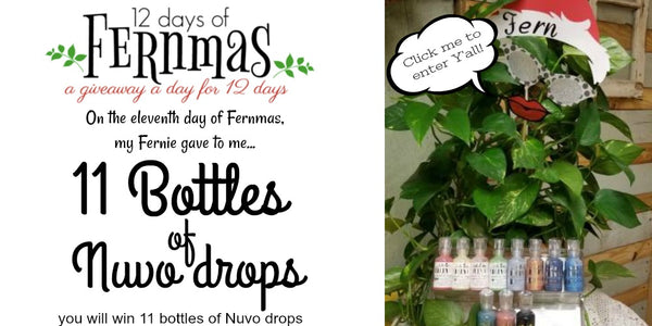 12 DAYS OF FERNMAS, A GIVEAWAY A DAY FOR 12 DAYS~DAY 11