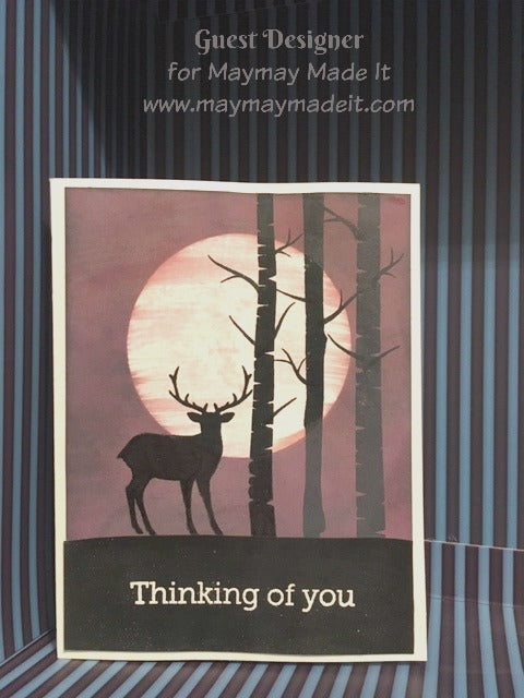 "Designer for a Day"  project created by Guest Designer Tammy Miller