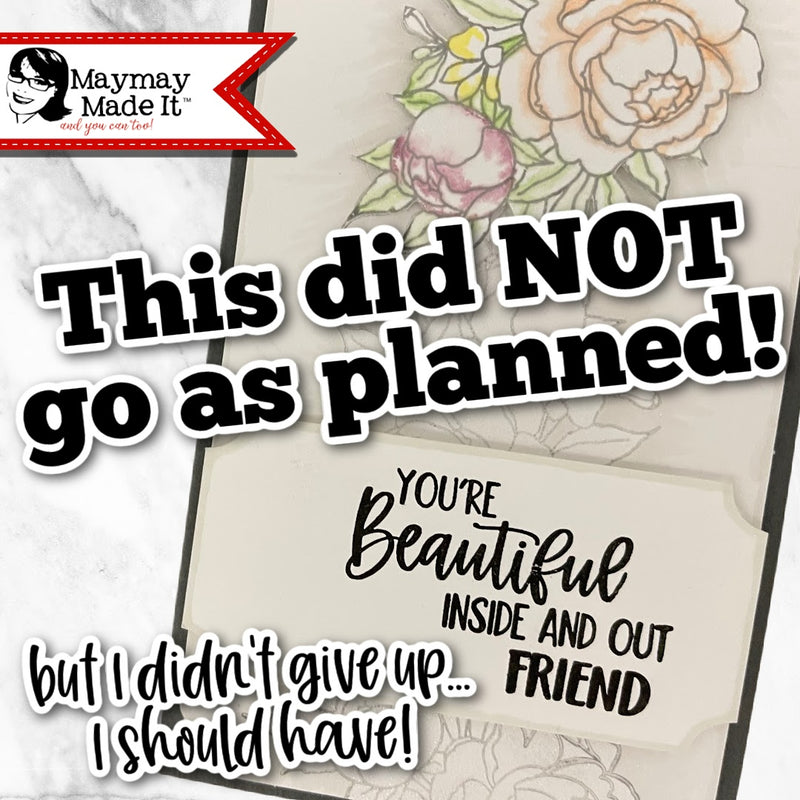 This did NOT go as planned! but I didn't give up...I should have!