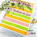Pink & Main Licorice Embossing Powder {G148}