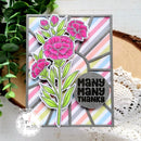 Pink & Main Sunburst Cover Die {K18}