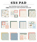 Carta Bella 6x6 Silly Goose Winter Paper Pad {B416}