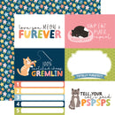Echo Park 12x12 Cat Lover Collection Kit {B223}