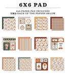 Echo Park 6x6 Feels Like Fall Paper Pad {B16}