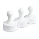 Super Strong Neodymium Pawn Magnets