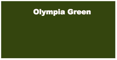 Tsukineko Versafine Olympia Green Small Pigment Ink Pad {E129}