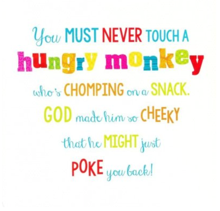 Choice Books Never Touch God's Hungry Animals! Board Book {C406}