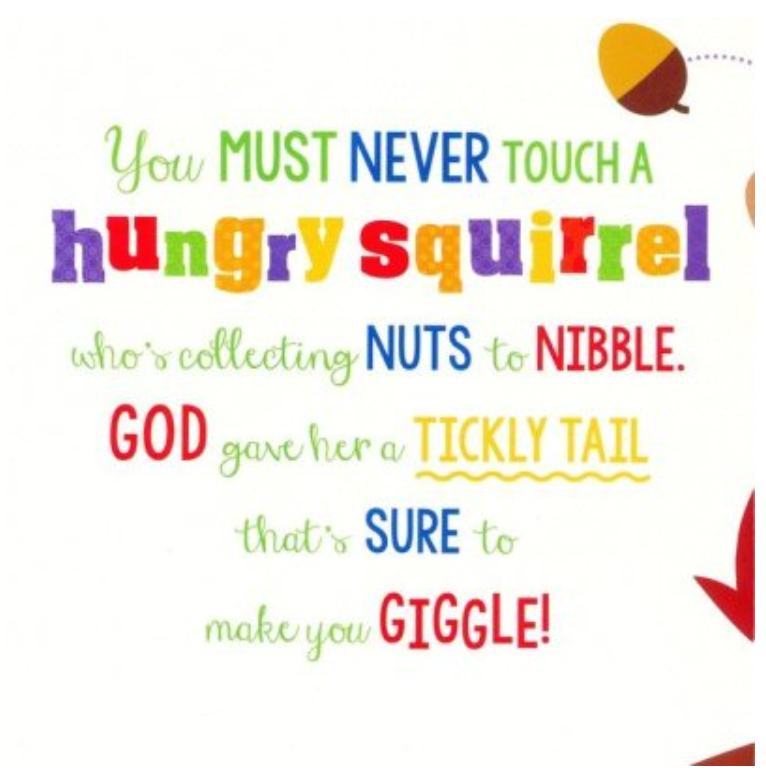 Choice Books Never Touch God's Hungry Animals! Board Book {C406}