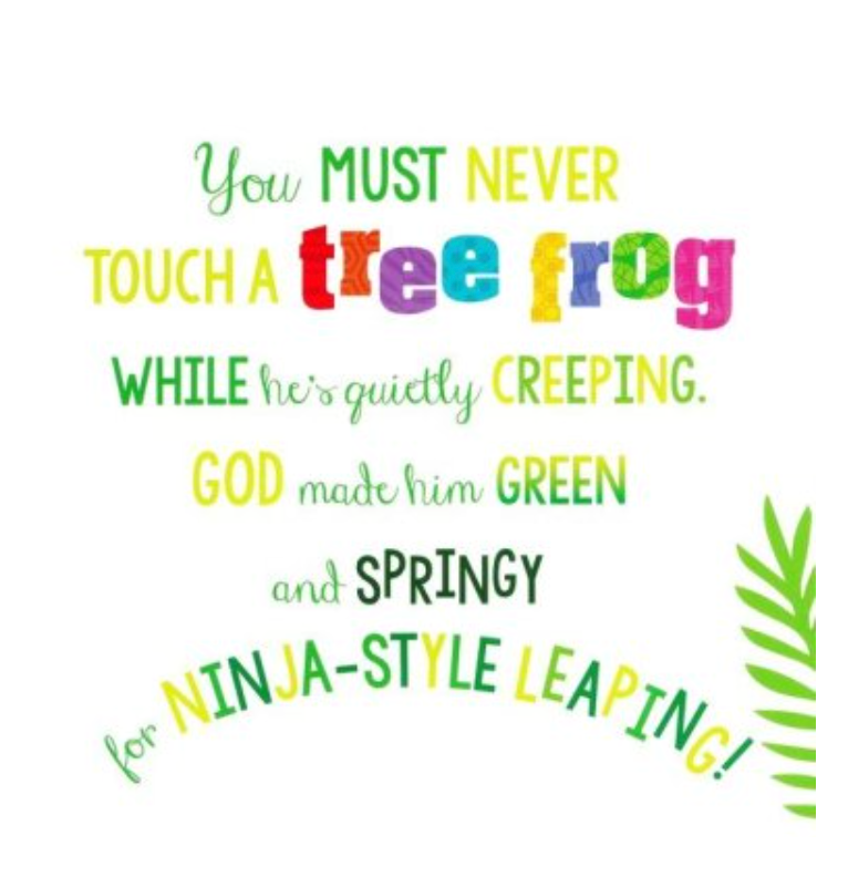 Choice Books Never Touch God's Colorful Creations! Board Book {C505}