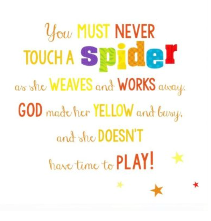 Choice Books Never Touch God's Colorful Creations! Board Book {C505}