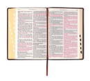 Choice Books KJV Antique Brown Faux Leather Giant Print Bible {C516}