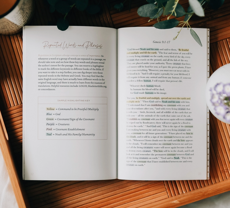 The Daily Grace Co. Bible Highlighting Guide