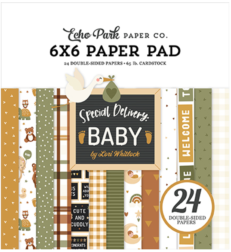 Echo Park 6x6 Special Delivery Baby Paper Pad {B16}