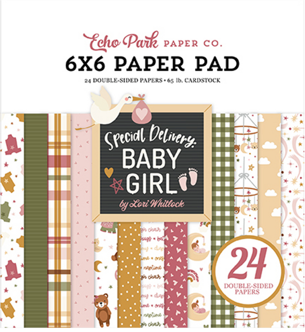 Echo Park 6x6 Special Delivery Baby Girl Paper Pad {B03}