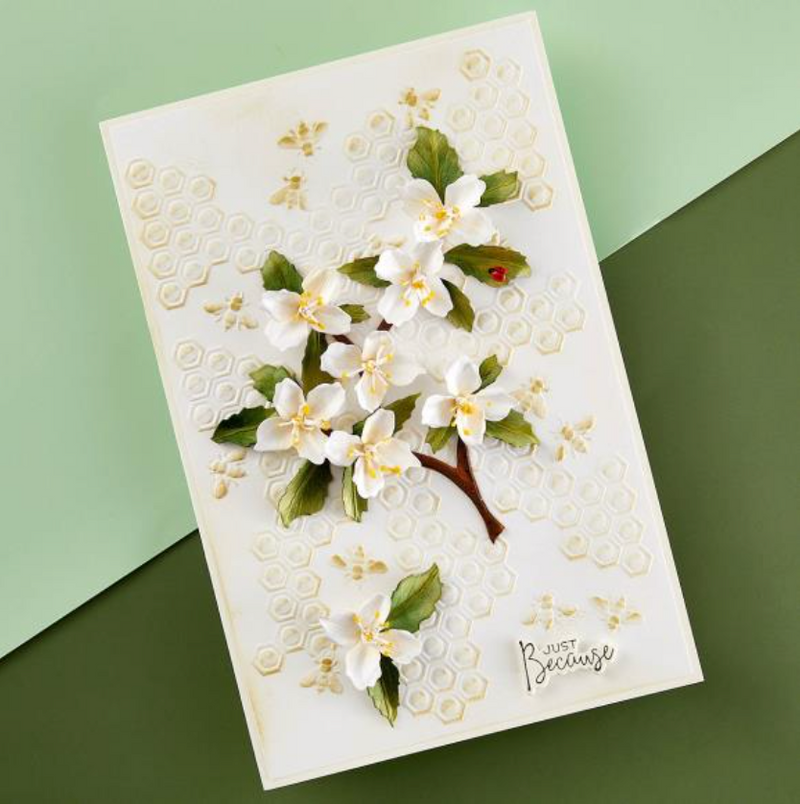 Spellbinders Bee-Cause 3D Embossing Folder {F212}
