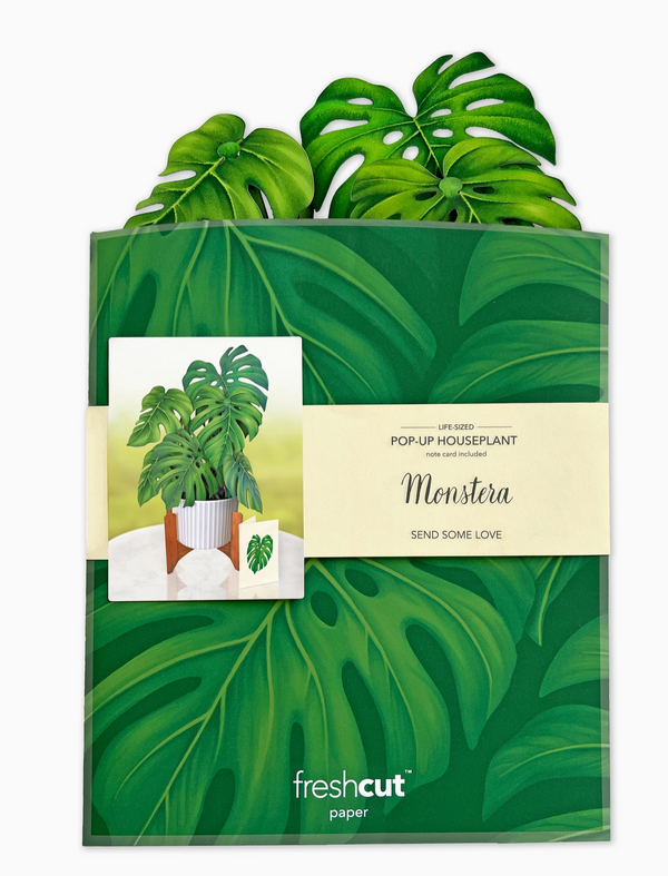 FreshCut Paper Monstera Pop Up House Plant