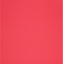 Paper Accents 12x12 80lb Pimento Canvas Cardstock
