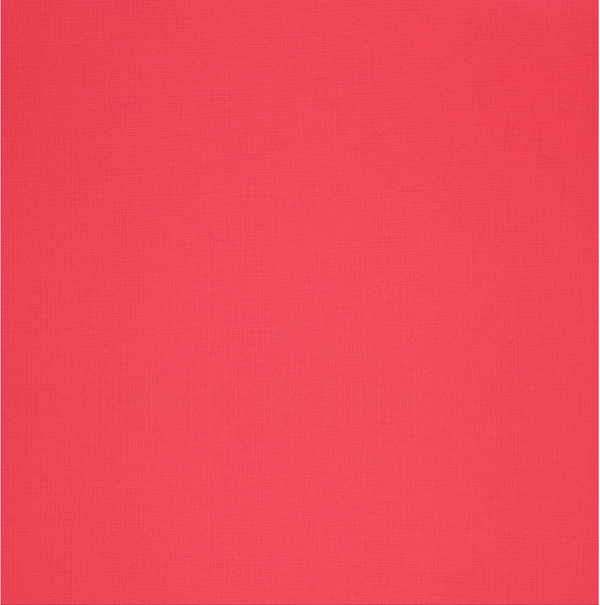 Paper Accents 12x12 80lb Pimento Canvas Cardstock {B707}