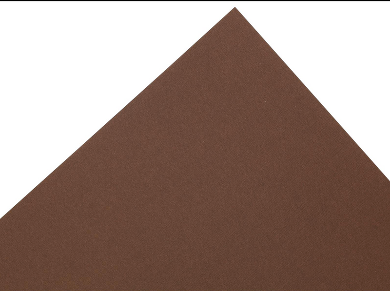 Paper Accents 8.5x11 80lb Brown Eyes Canvas Cardstock {F315}