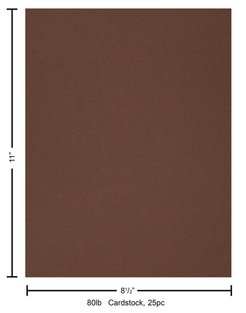 Paper Accents 8.5x11 80lb Brown Eyes Canvas Cardstock {F315}