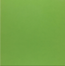 Paper Accents 12x12 65lb Green Parrot Stash Builder Cardstock