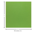 Paper Accents 12x12 65lb Green Parrot Stash Builder Cardstock
