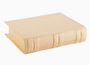 Paper Mache Book Box
