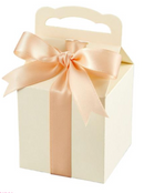 Spellbinders Ribbon Box Etched Die