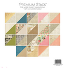 DCWV 12x12 Preserved Paper Cardstock Stack {B615}