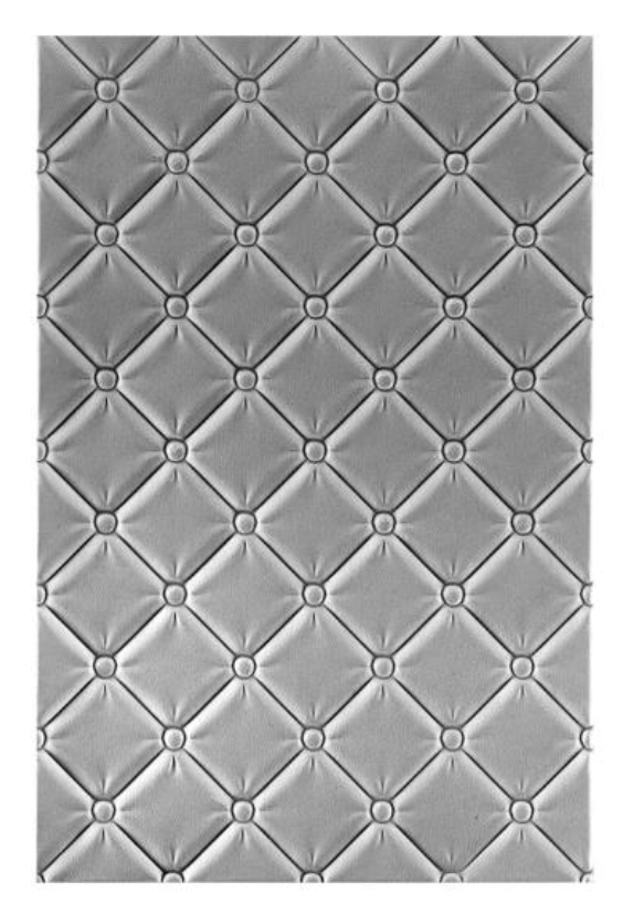 Spellbinders Tufted 3D Embossing Folder {W29}