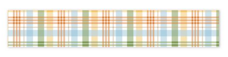 Echo Park Baby Plaid Washi Tape {D128}