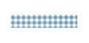 Echo Park Blue Gingham Washi Tape {D140}