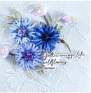 Spellbinders Wildly Beautiful 3D Embossing Folder
