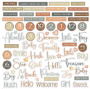 49 and Market Little Dreamer Chipboard Set