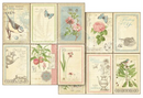 Graphic 45 12x12 Botanical Tea Keepsake Kit {F220}