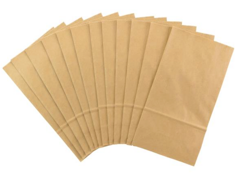 Colorbok 4.7"x8.9" Kraft Medium Paper Gift Bags {W92}