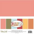 Echo Park 12x12 Bookish Solids Collection Kit {B103}