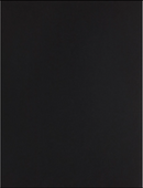 Paper Accents 8.5x11 100lb. Heavyweight Cardstock