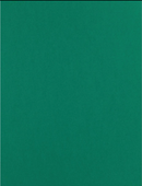 Paper Accents 8.5x11 100lb. Heavyweight Cardstock