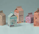 We R Makers Carton Stamp Board