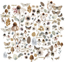 49 and Market Faded Memory Lane Wildflowers Laser Cut Outs {F21}