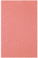 Spellbinders Favorite Song 3D Embossing Folder {X153}