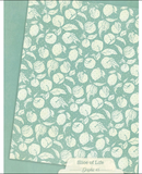 Graphic 45 8.5x11 Slice of Life Patterns & Solids Collection Pack {B206}