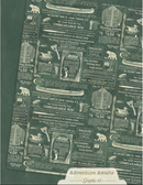 Graphic 45 8.5x11 Adventure Awaits Patterns & Solids Collection Pack {B123}