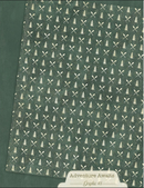 Graphic 45 8.5x11 Adventure Awaits Patterns & Solids Collection Pack {B123}