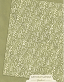 Graphic 45 8.5x11 Adventure Awaits Patterns & Solids Collection Pack {B123}